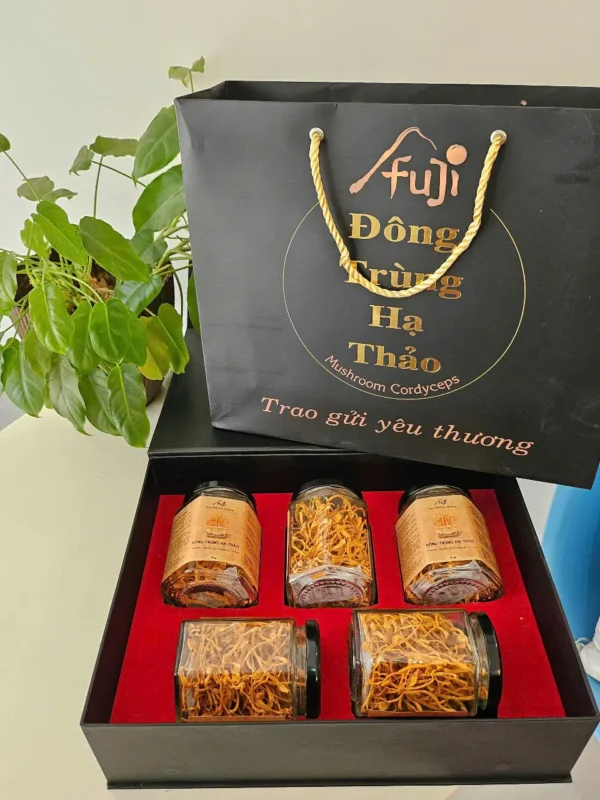 Đông Trùng Khô 20g - Hình ảnh 2