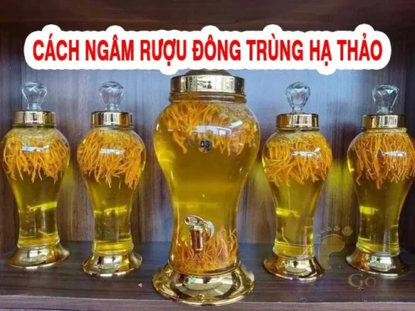 Rượu Đông Trùng 500 ml - Hình ảnh 3